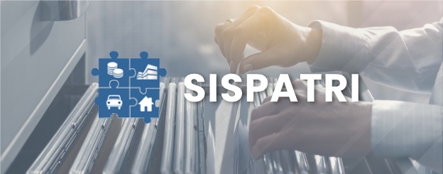 Logo SISPATRI