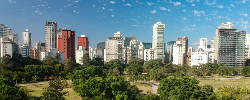 vista de arborização na cidade de São Paulo