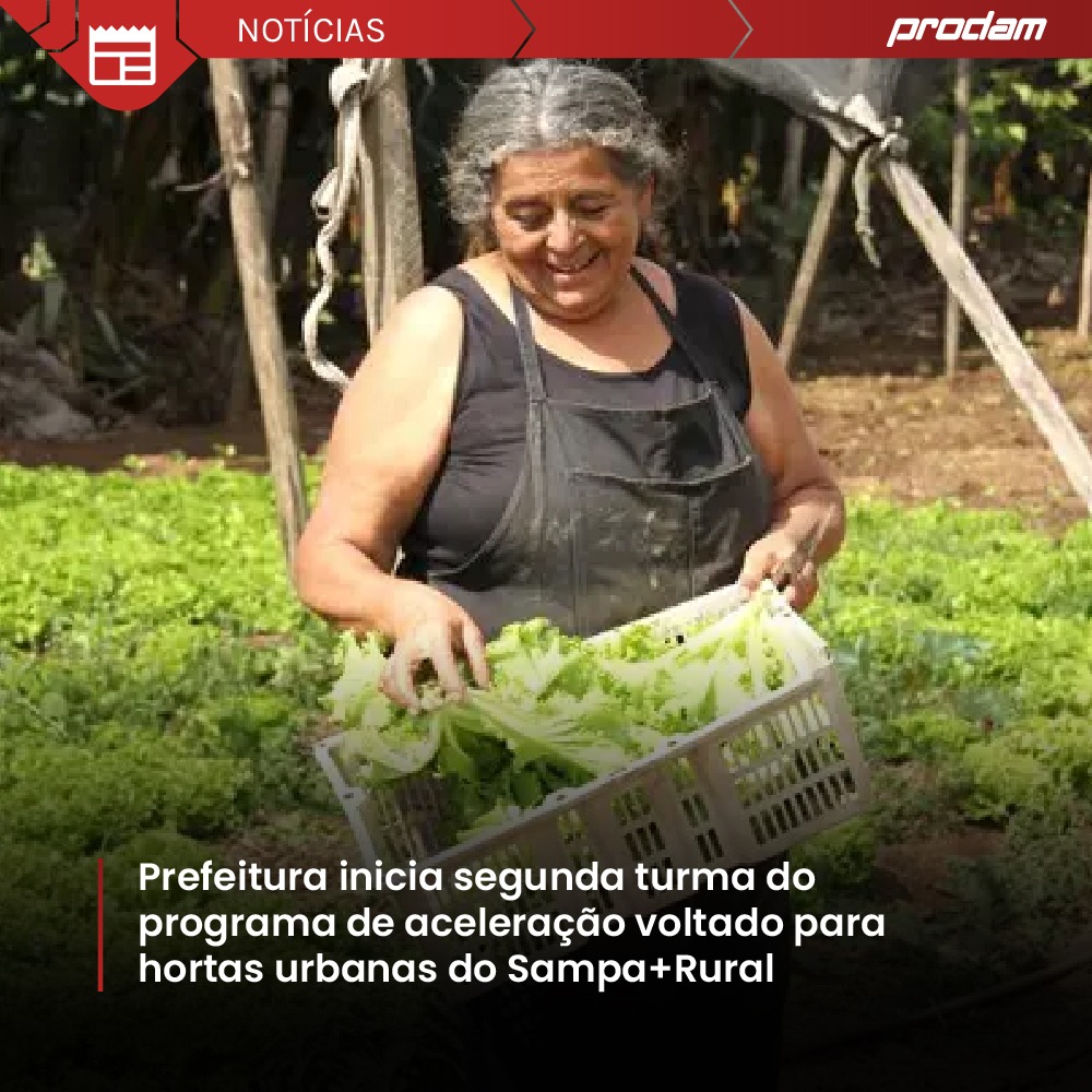 Prefeitura de São Paulo inicia a segunda turma do programa de aceleração voltado para hortas urbanas do Sampa+Rural