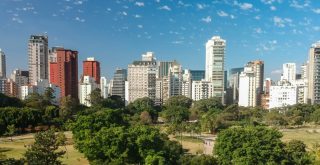 vista de arborização na cidade de São Paulo
